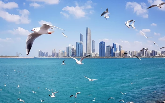 Abu Dhabi Corniche waterfront with turquoise sea, city skyline and seabirds