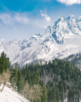 Snowy Kashmir mountain views above pine forests, captured for the Kashmir holiday packages from UAE page by Seyed Shifaam at Arabiers