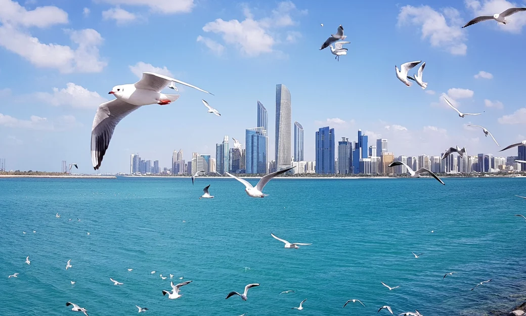 Abu Dhabi Corniche skyline across the turquoise water with seagulls in flight