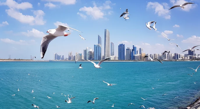 Abu Dhabi Corniche skyline across the turquoise water with seagulls in flight