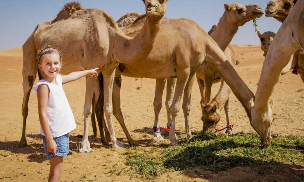 Family visiting camels in the Abu Dhabi desert