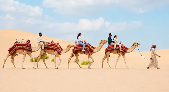 Morning camel caravan led across pale Abu Dhabi desert dunes