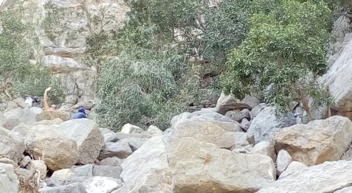 Rocky boulder trail with vegetation inside Wadi Ain