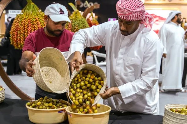 Dates being sorted into baskets at a UAE date festival