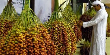 Liwa Dates Festival - 2026