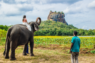 Arabiers Sri Lanka tour manager guiding a private holiday experience near Sigiriya