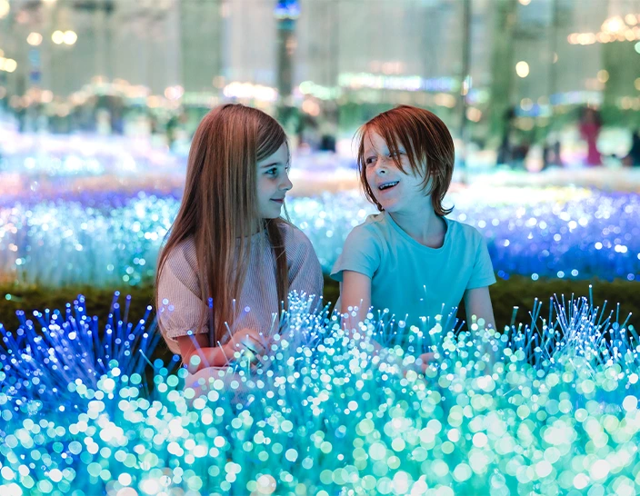 Collections of 100 things to do in Dubai 2026