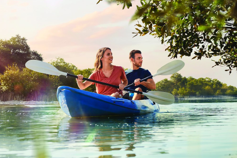 Tourists kayaking through the green channels of the Eastern Mangroves National Park in Abu Dhabi
