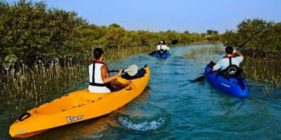 Mangrove kayak tour at Sir Bani Yas Island in the Al Dhafra region of Abu Dhabi