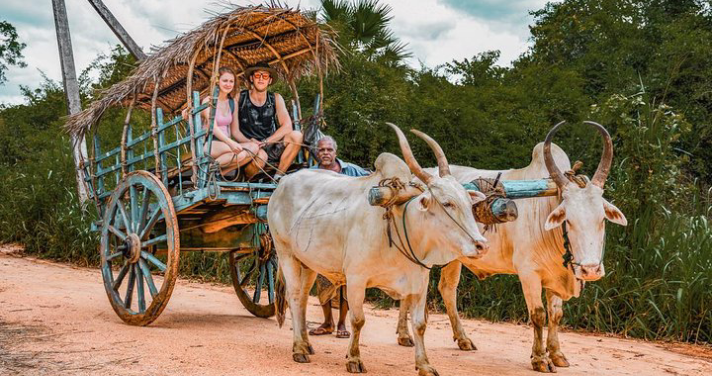 Traditional bullock cart ride in a Sri Lankan village