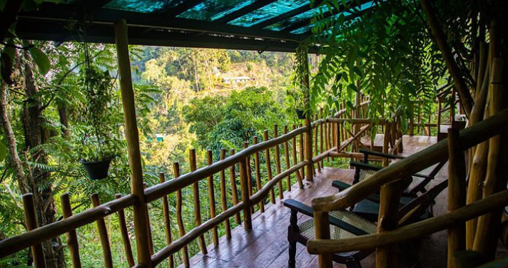 Eco lodge balcony overlooking forest in Sri Lanka