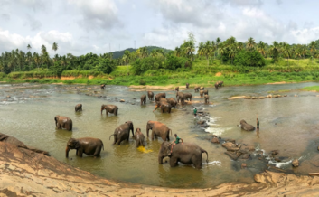 Sri Lanka Ultimate Adventure