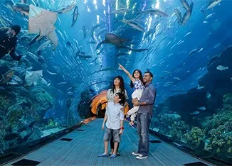 Dubai Aquarium Tickets